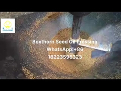 экстрактор нефти холодного прессования